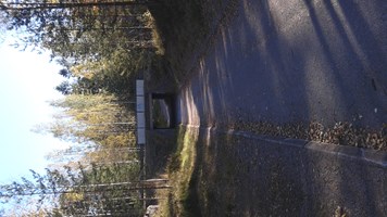 Tunnel, 50 km/h